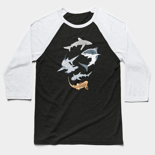 Types of Sharks Collection Baseball T-Shirt by NicGrayTees